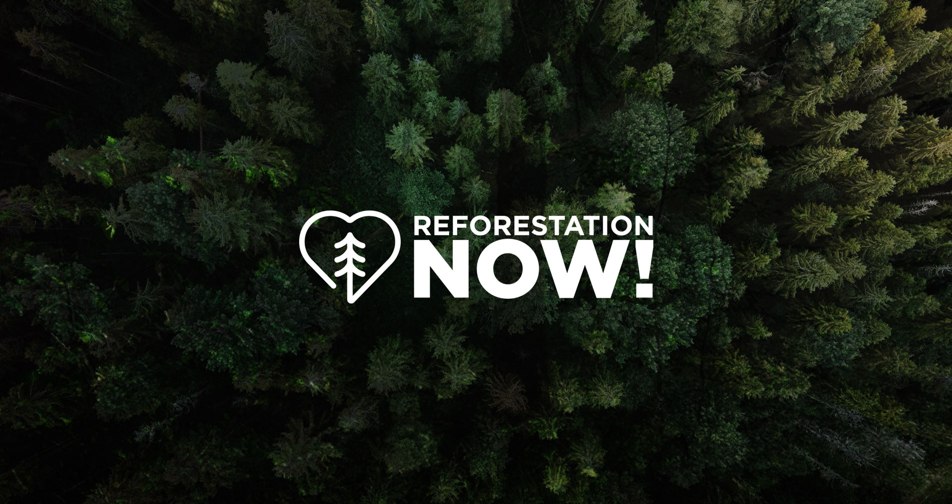Reforestation NOW!