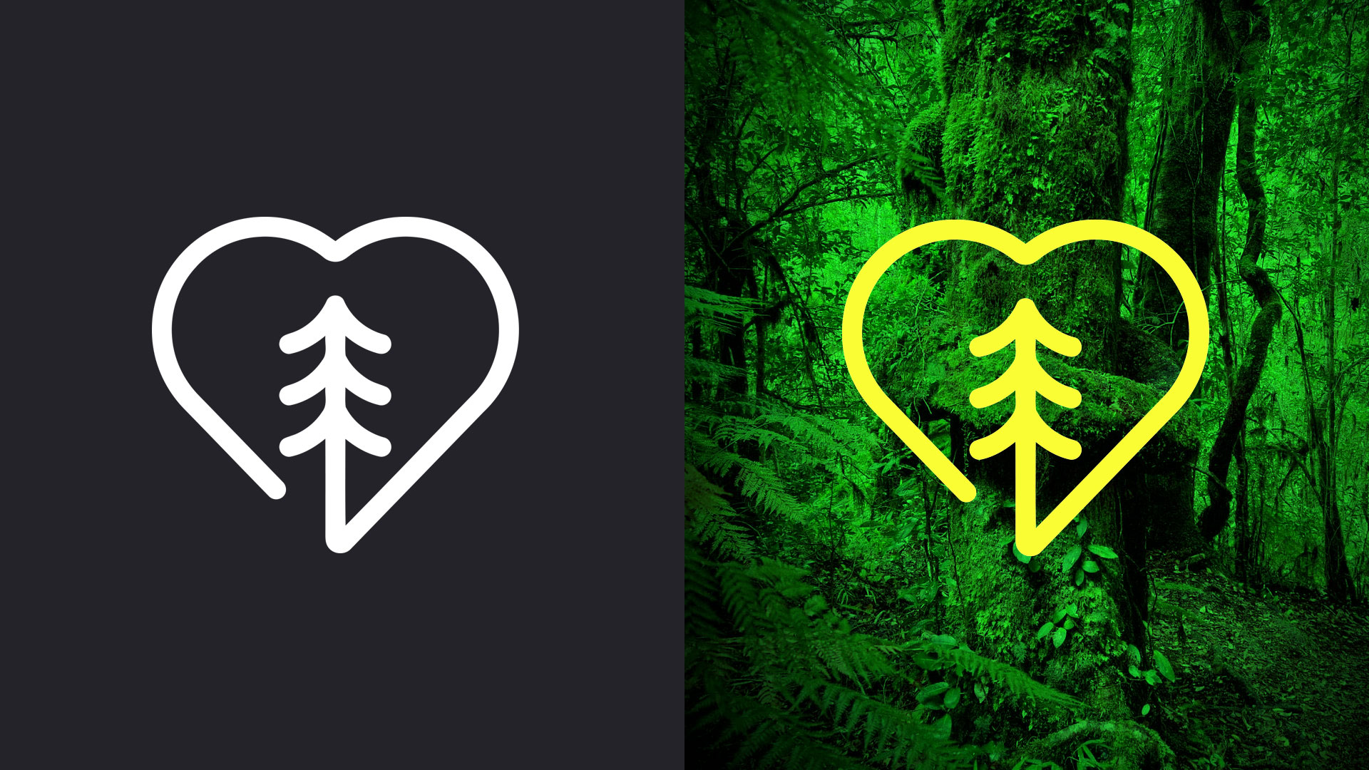 Reforestation NOW!
