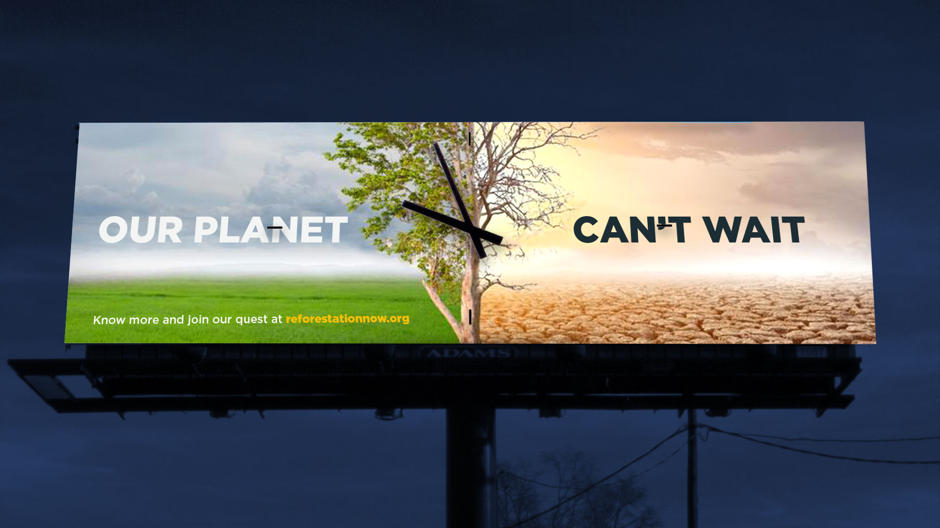 Reforestation NOW!